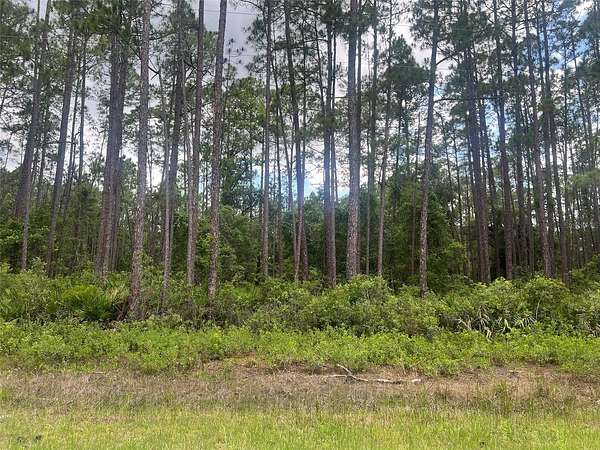 0.23 Acres of Residential Land for Sale in Georgetown, Florida