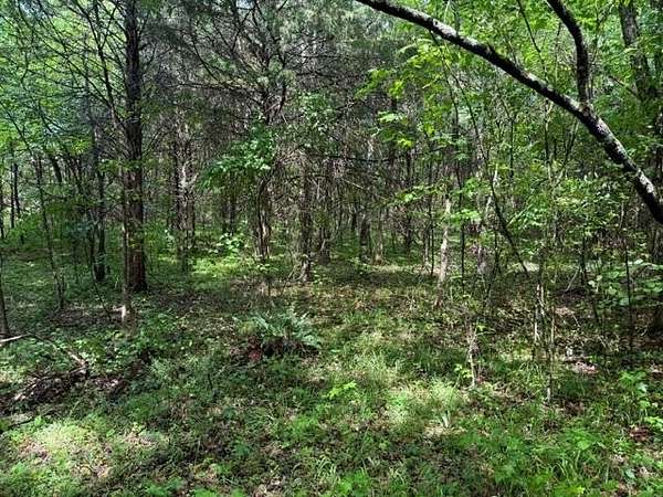 5.39 Acres of Land for Sale in Morrison, Tennessee