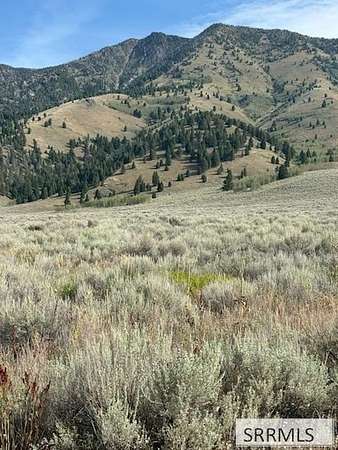 1.84 Acres of Land for Sale in Island Park, Idaho