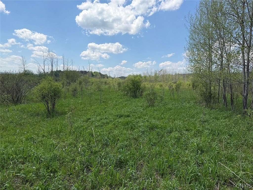 13.2 Acres of Recreational & Residential Land for Sale in South Dayton, New York