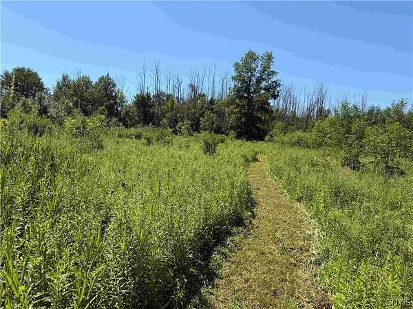 13.2 Acres of Recreational & Residential Land for Sale in South Dayton, New York