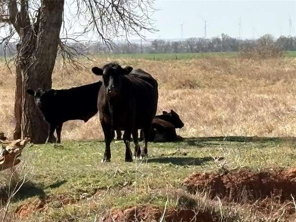 319 Acres of Agricultural Land for Sale in Marshall, Oklahoma