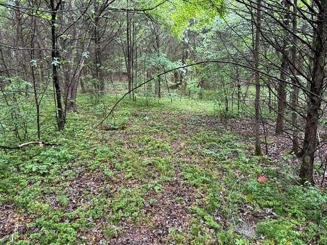 5 Acres of Land for Sale in Morrison, Tennessee