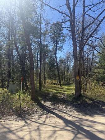 5 Acres of Land for Sale in Baldwin, Michigan
