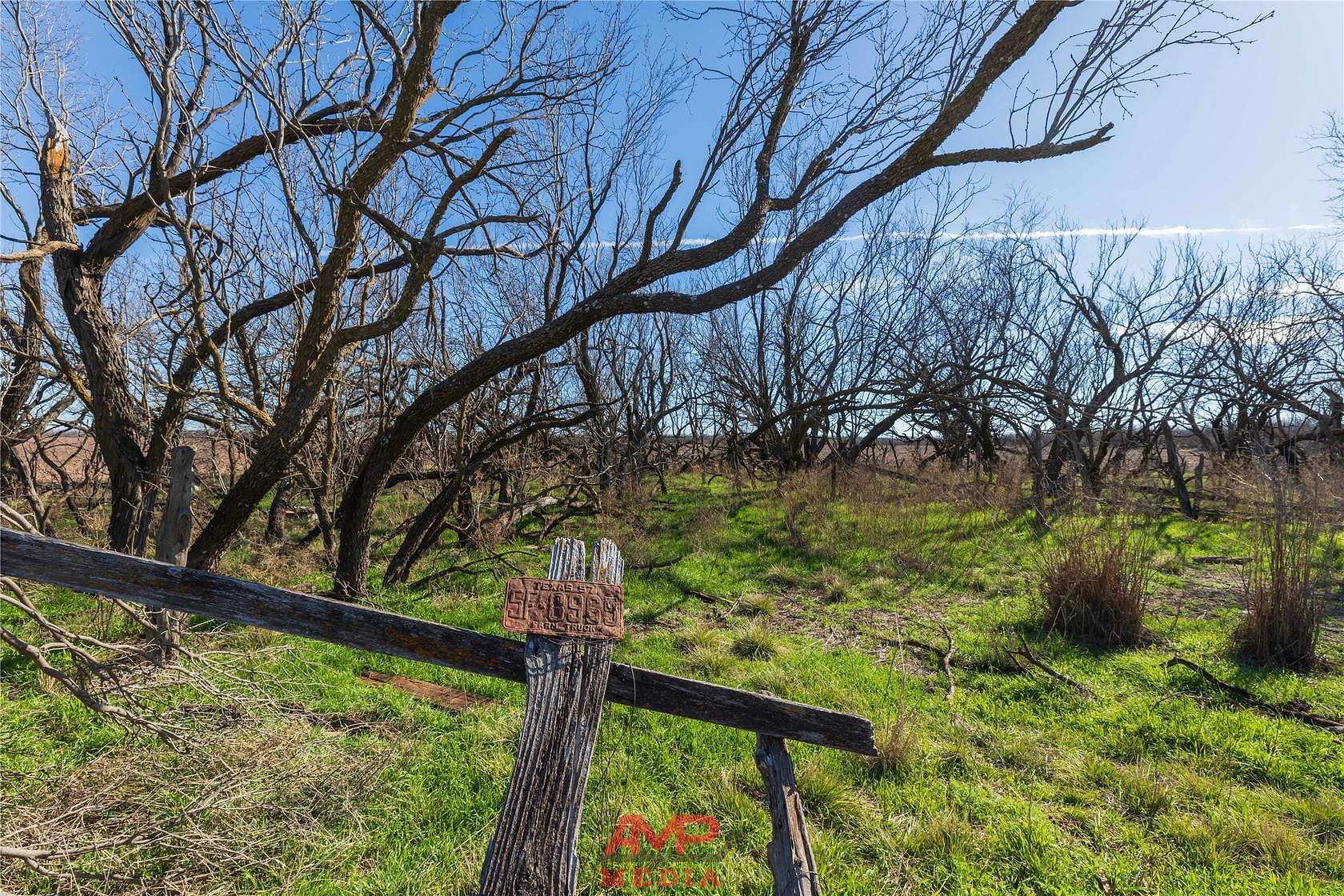 186 Acres of Land for Sale in Avoca, Texas