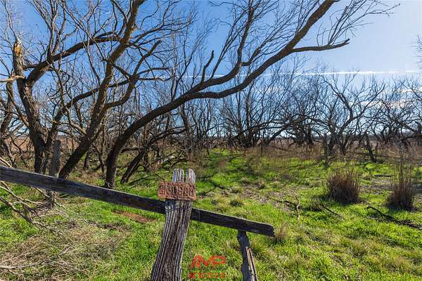 186 Acres of Land for Sale in Avoca, Texas