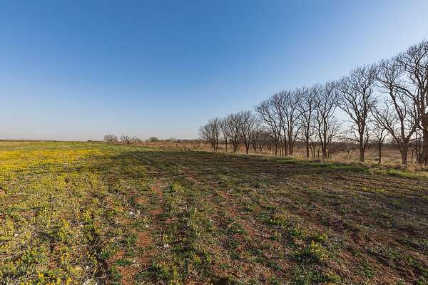 182 Acres of Land for Sale in McCaulley, Texas