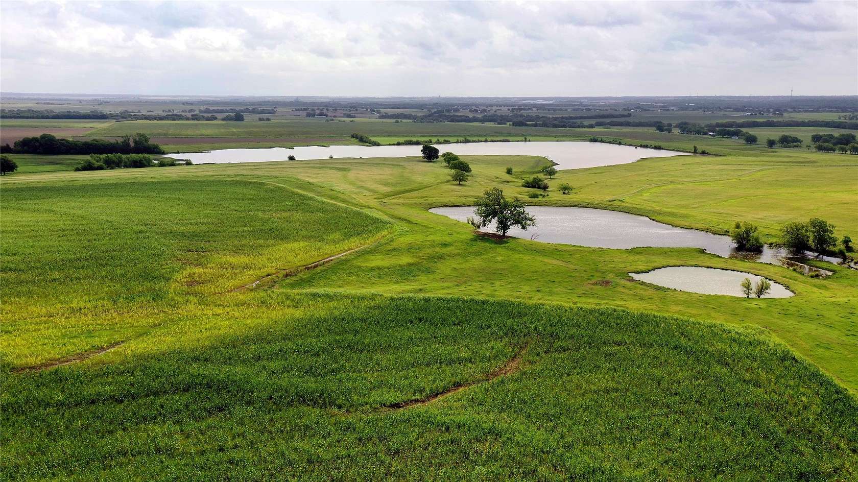 209 Acres of Improved Land for Sale in Hillsboro, Texas