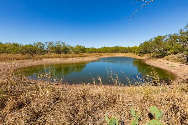 77.5 Acres of Land for Sale in Ovalo, Texas