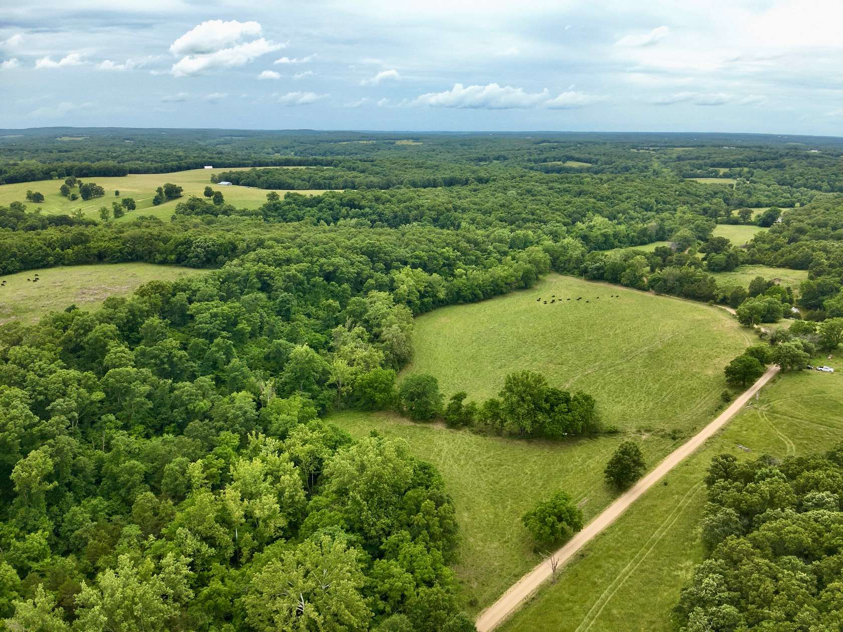 55 Acres of Land for Sale in Dixon, Missouri