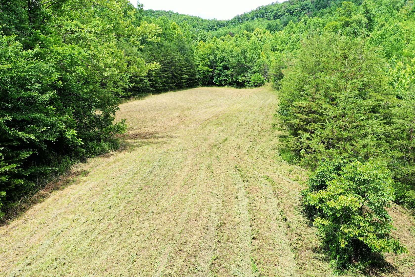 56.8 Acres of Land for Sale in Lake Lure, North Carolina