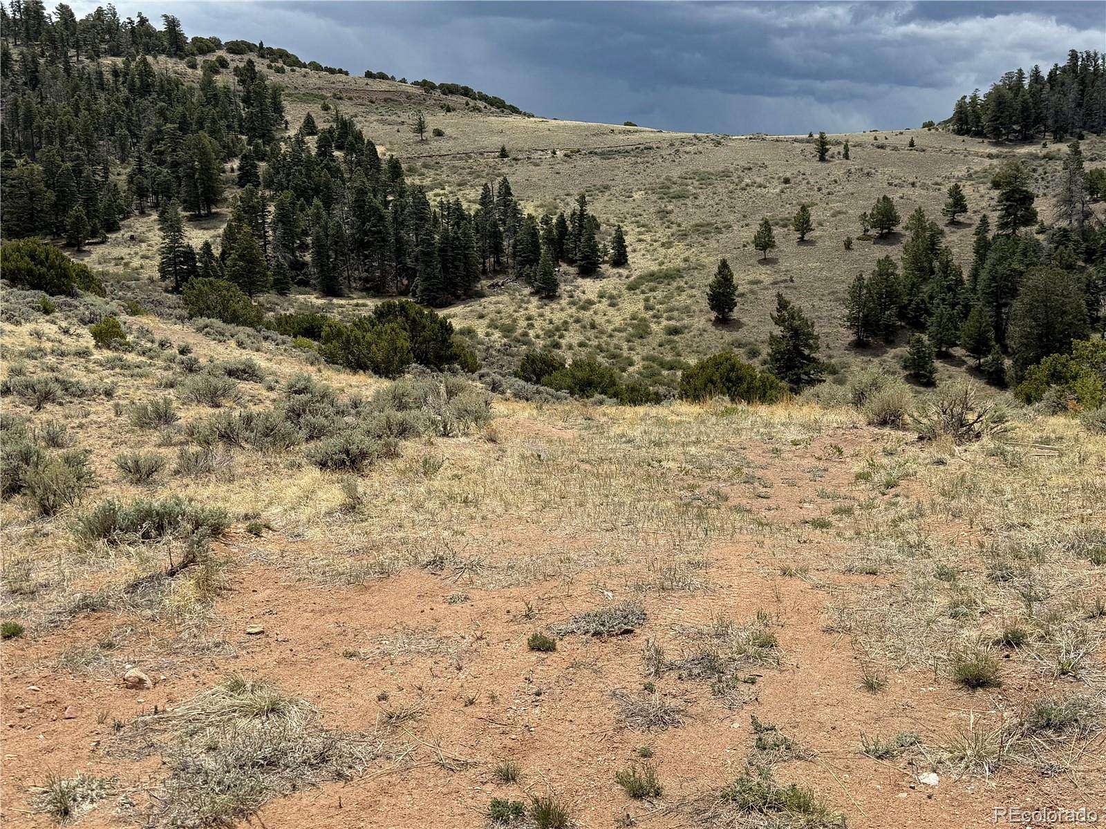 5.59 Acres of Residential Land for Sale in Fort Garland, Colorado