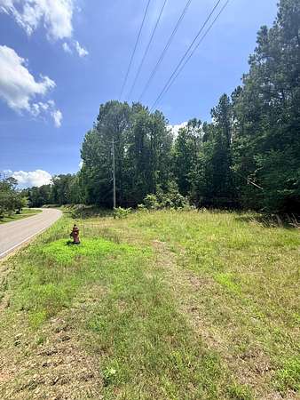 5 Acres of Residential Land for Sale in Beaverton, Alabama