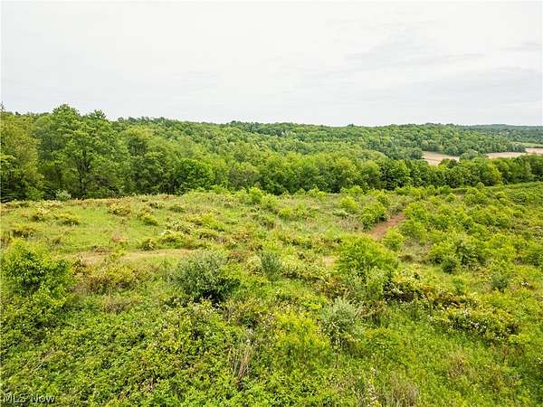 18.5 Acres of Land for Auction in Uhrichsville, Ohio