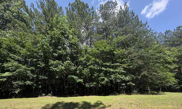 1 Acre of Residential Land for Sale in Spencer, Tennessee