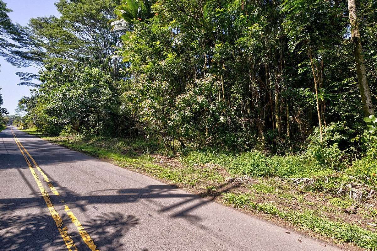 1 Acre of Land for Sale in Pahoa, Hawaii