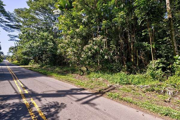 1 Acre of Land for Sale in Pahoa, Hawaii