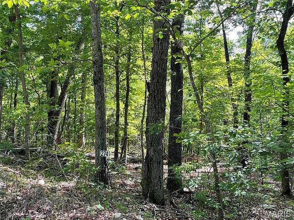 1.2 Acres of Residential Land for Sale in Bourbon, Missouri