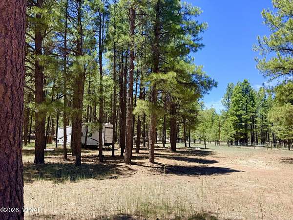 1 Acre of Residential Land for Sale in Happy Jack, Arizona