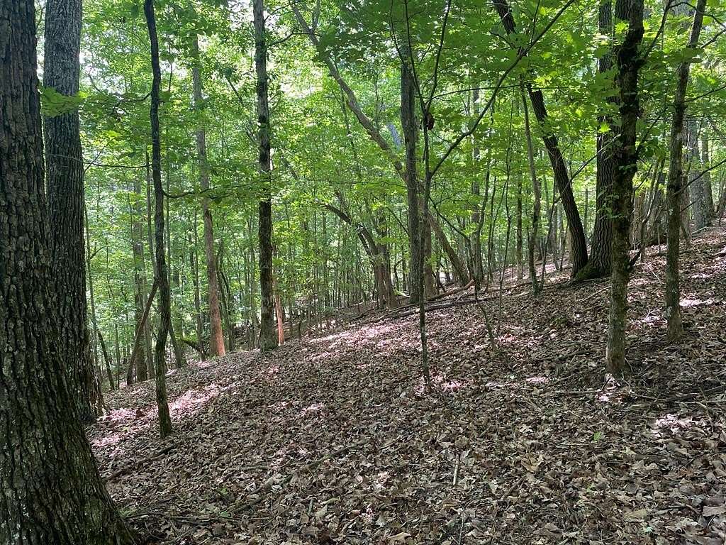 3 Acres of Residential Land for Sale in Blairsville, Georgia