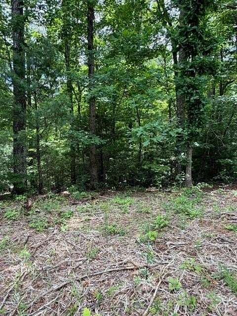 1 Acre of Residential Land for Sale in Lake Lure, North Carolina