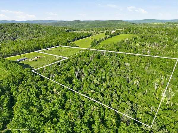 20 Acres of Recreational & Residential Land for Sale in Waverly, New York