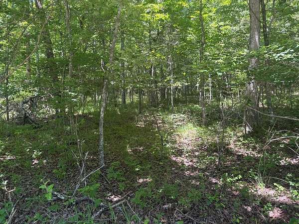 3.8 Acres of Land for Sale in Spencer, Tennessee