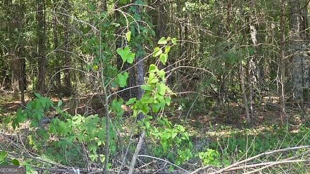 1.18 Acres of Residential Land for Sale in Fort Valley, Georgia