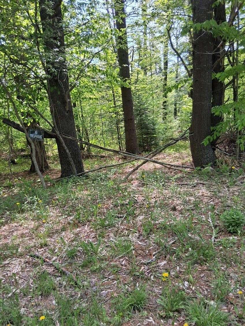 2 Acres of Residential Land for Sale in Brownville, Maine