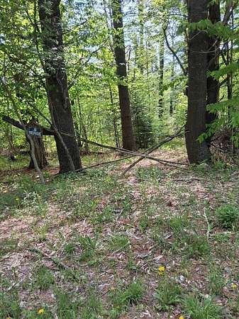 2 Acres of Residential Land for Sale in Brownville, Maine