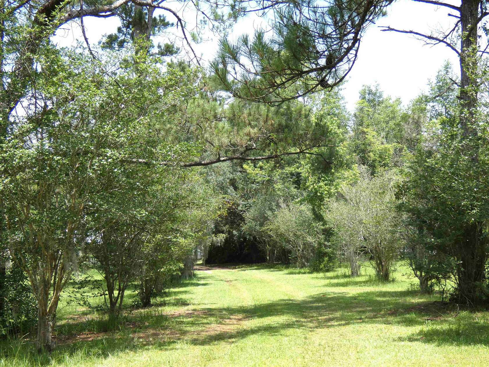 0.61 Acres of Land for Sale in Lamont, Florida