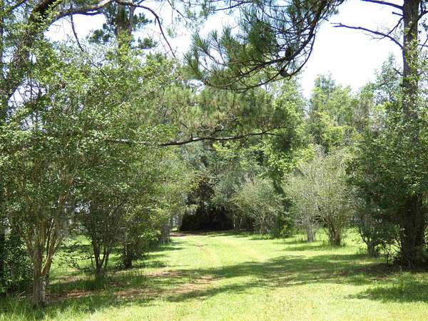 0.61 Acres of Land for Sale in Lamont, Florida