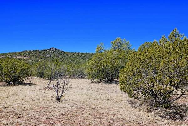 2.2 Acres of Residential Land for Sale in Williams, Arizona