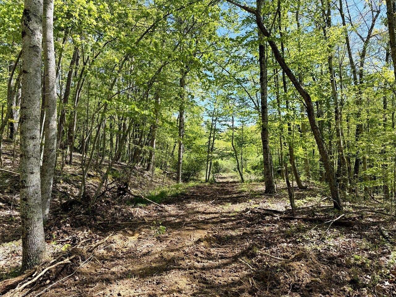103 Acres of Recreational & Residential Land for Auction in White Oak, West Virginia