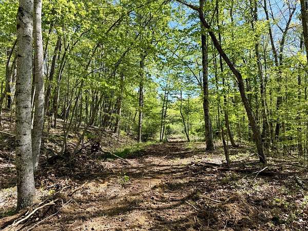 103 Acres of Recreational & Residential Land for Auction in White Oak, West Virginia