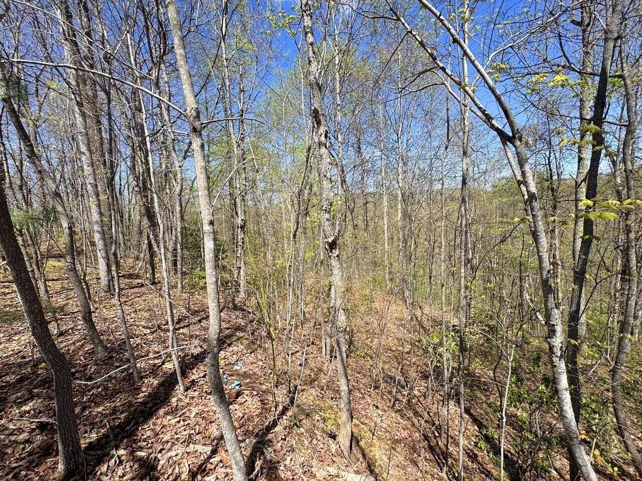 94.4 Acres of Recreational Land for Auction in Terry, West Virginia