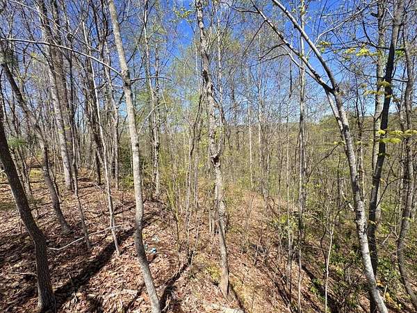 94.4 Acres of Recreational Land for Auction in Terry, West Virginia