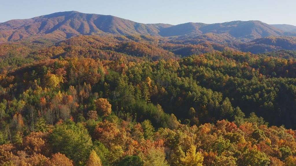 116 Acres of Land for Sale in Del Rio, Tennessee