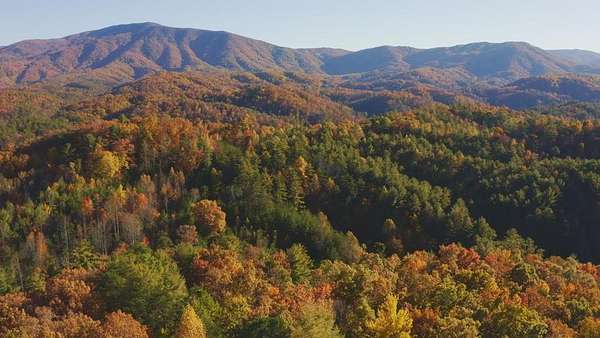 116 Acres of Land for Sale in Del Rio, Tennessee
