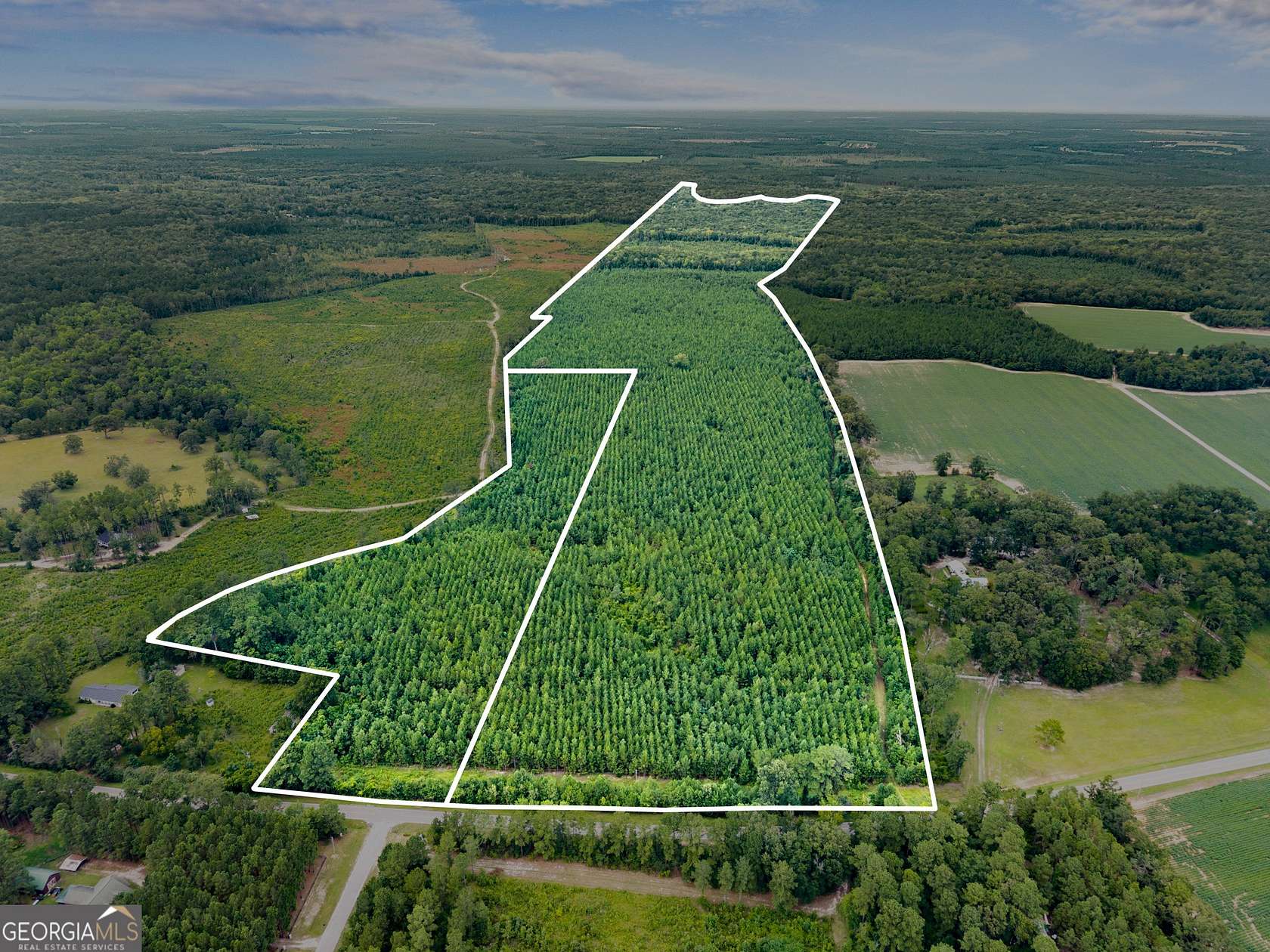 232 Acres of Recreational & Residential Land for Sale in Statesboro, Georgia