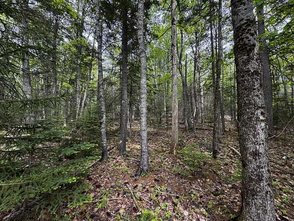 10.7 Acres of Land for Sale in Bar Harbor, Maine