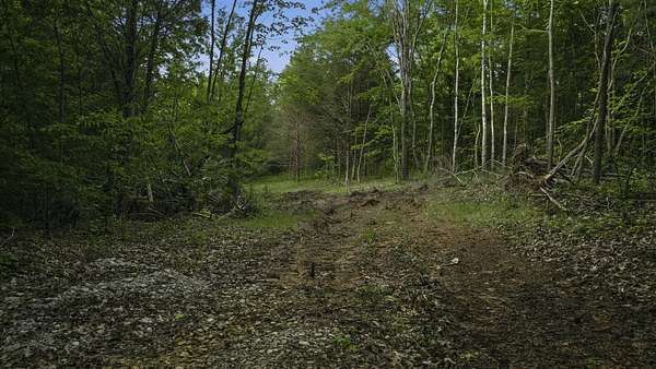 324 Acres of Recreational Land for Sale in Morgantown, Kentucky