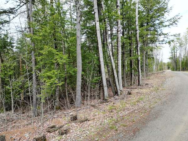 1.7 Acres of Residential Land for Sale in Lincoln, Maine