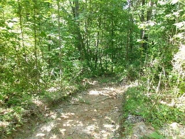 18.3 Acres of Recreational & Residential Land for Sale in Bloomfield, Indiana