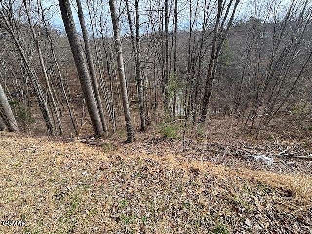 0.7 Acres of Residential Land for Sale in Sevierville, Tennessee