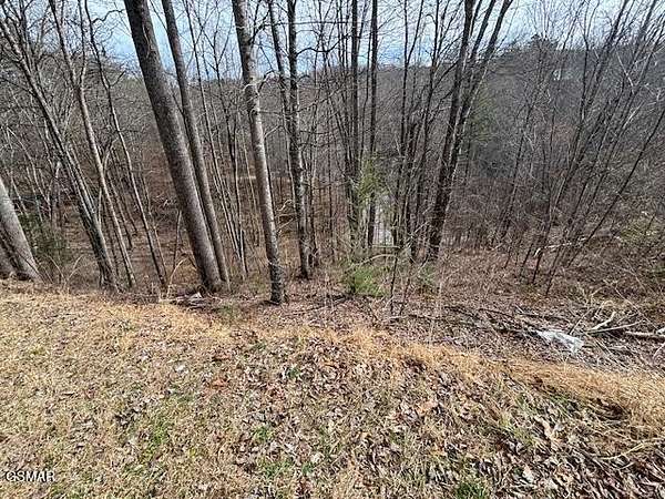 0.7 Acres of Residential Land for Sale in Sevierville, Tennessee