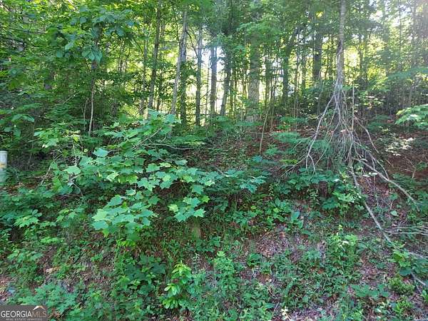 Residential Land for Sale in Sky Valley, Georgia