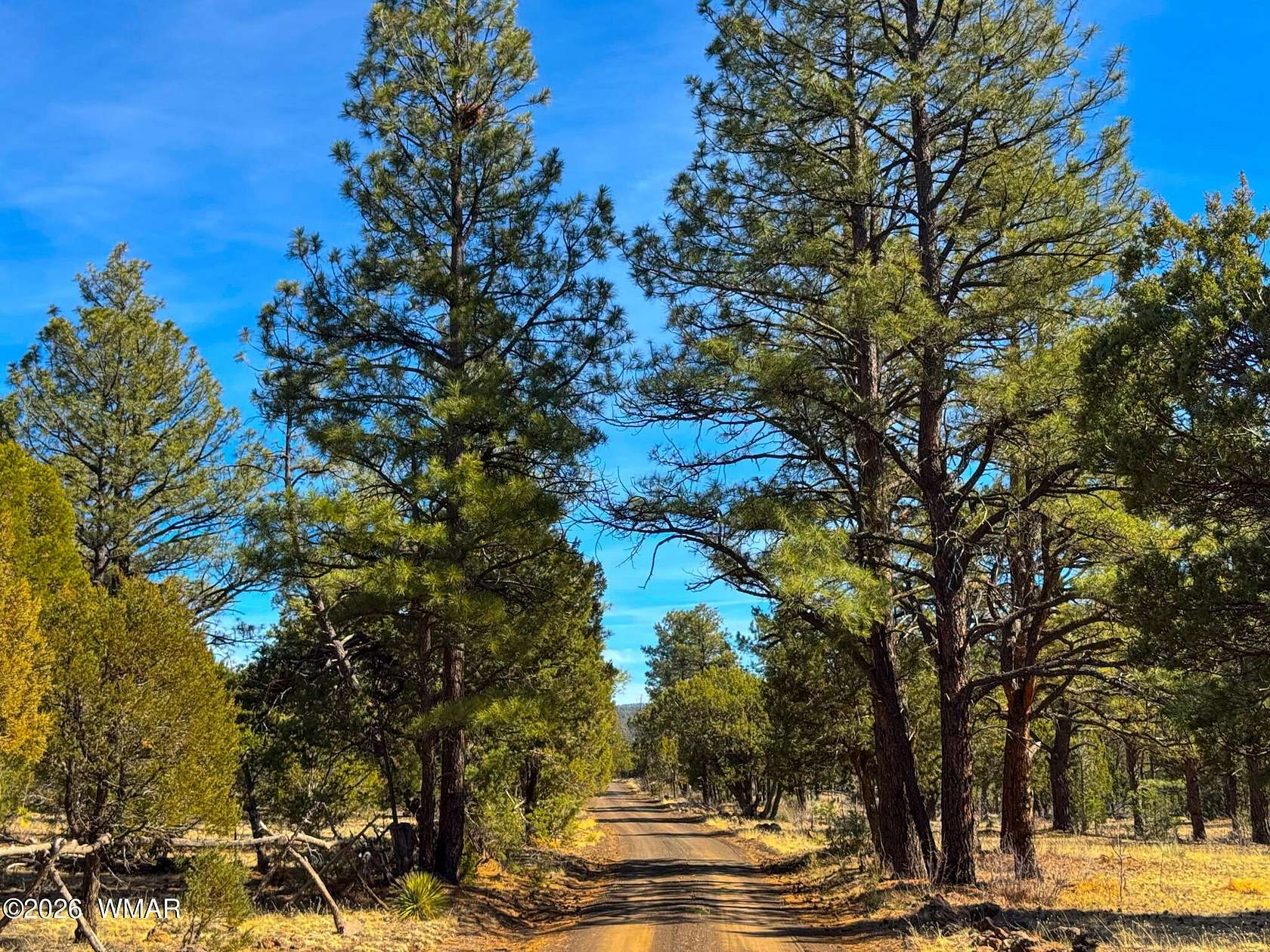 5 Acres of Residential Land for Sale in Vernon, Arizona