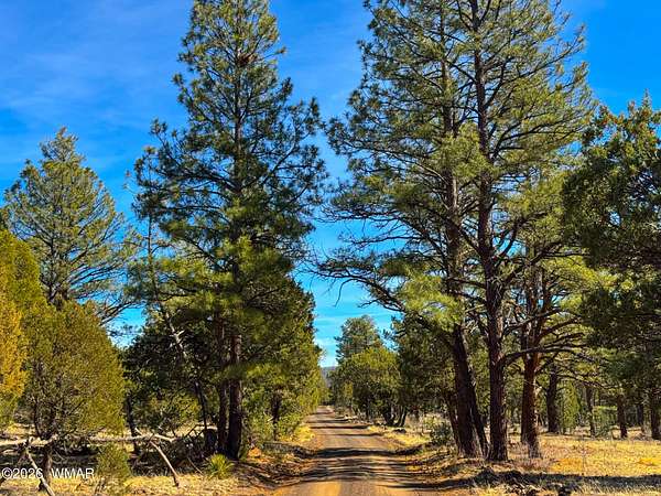 5 Acres of Residential Land for Sale in Vernon, Arizona