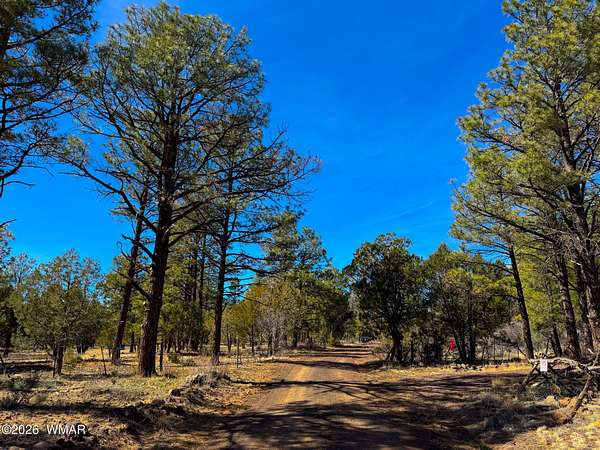 5 Acres of Residential Land for Sale in Vernon, Arizona